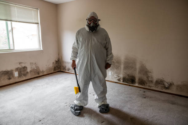 Best Commercial Mold Removal  in Three Oaks, FL